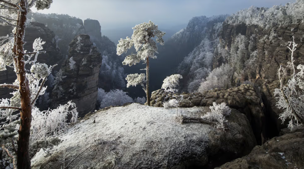 Pravcicka Gate and Bastei Bridge WINTER HIKE
