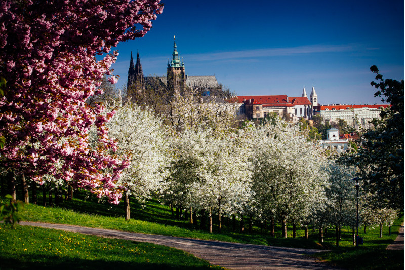 Prague Castle Free Tour