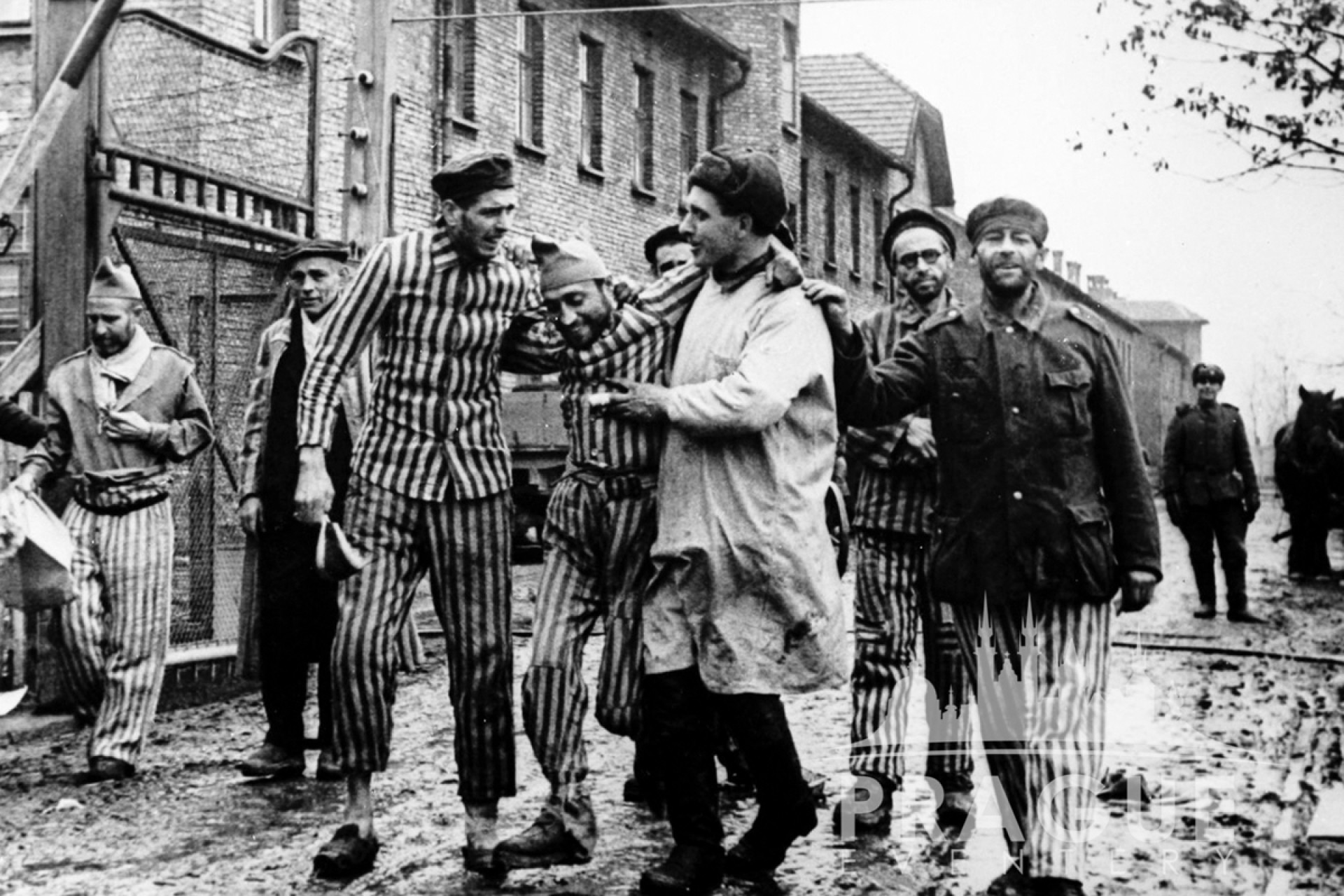 Terezn Concentration Camp Tour